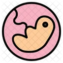 Embryo  Icon