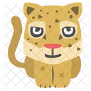 Cheetah Animal Leopard Icon