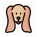 English Cocker Spaniel Dog Animal Icon