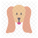 English cocker spaniel  Icon