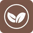 Environment  Icon