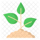 Environment Day Icon