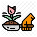 Gardening Plan Growth Icon