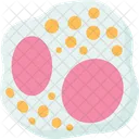 Eosinophils Blood Granulocyte Icon