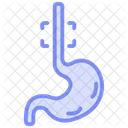 Esophagus Duotone Line Icon Icon