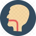 Esophagus Throat Human Head Icon