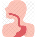 Esophagus  Icon