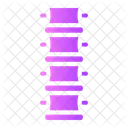 Coluna Vertebral Espinha Dorsal Vertebra Ícone