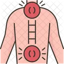 Coluna Vertebral Espinha Dorsal Nervo Ícone