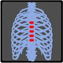 Coluna Coluna Vertebral Vertebra Ícone