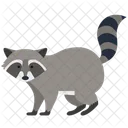 European Badger  Icon