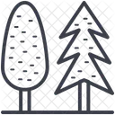 포플러 나무 사이프러스 아이콘