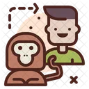 Evolution Growth Man Growth Icon