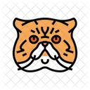 Exotic Cat Exotic Shorthair Icon