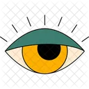 Eye  Icon