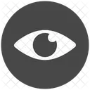 Eye  Icon