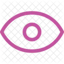 Eye  Icon