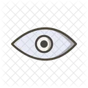 Eye  Icon