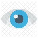 Eye Human Look Icon