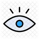 Eye  Icon