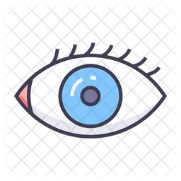 Eye  Icon