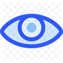 Eye  Icon