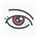 Eye  Icon