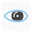 Eye  Icon