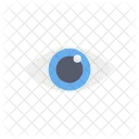 Eye  Icon