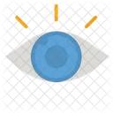 Eye  Icon