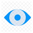 Eye  Icon