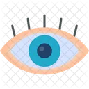 Eye  Icon