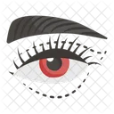 Eye  Icon