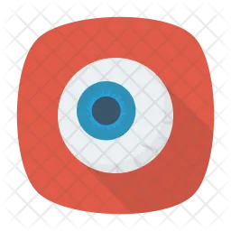 Eye  Icon