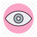 Eye  Icon