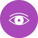 Eye  Icon