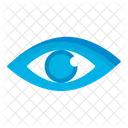 Eye  Icon