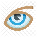 Eye  Icon