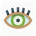 Eye  Icon