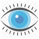 Eye  Icon