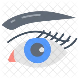 Eye  Icon