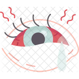 Eye  Icon