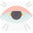 Eye  Icon