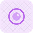 Eyeball Icon