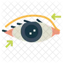 Eyelid Surgery  Icon