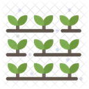 농경지 농장 농작물 아이콘