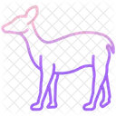 Fawn Animal Wildlife Icon