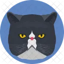 Cat Feline Face Icon