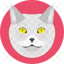 Cat Feline Face Icon