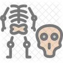 Femur  Icon